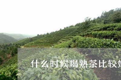 什么时候喝熟茶比较好/2023092295047