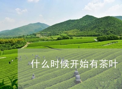 什么时候开始有茶叶/2023041893858