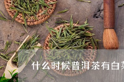 什么时候普洱茶有白菜标/2023102457280