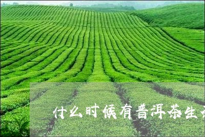 什么时候有普洱茶生茶/2023062444058