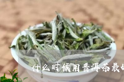 什么时候用普洱茶最好/2023062372715