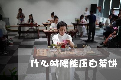 什么时候能压白茶饼/2023071495948