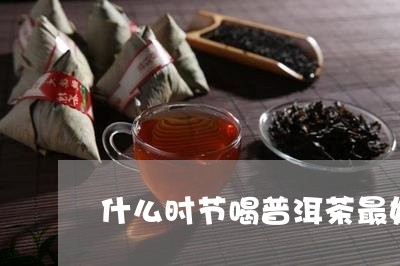 什么时节喝普洱茶最好呢/2023082813614