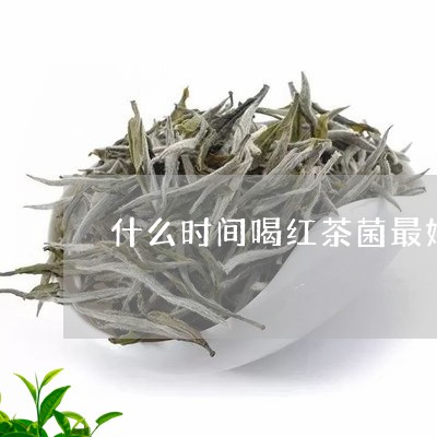 什么时间喝红茶菌最好/2023071414926