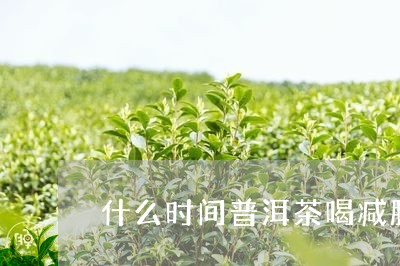 什么时间普洱茶喝减肥/2023092936250