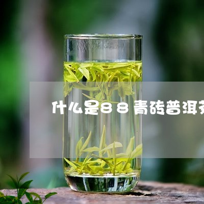 什么是88青砖普洱茶/2023080254925