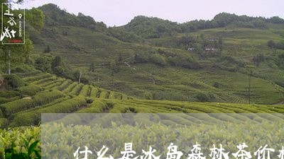 什么是冰岛森林茶价格/2023061297360