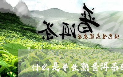 什么是半生熟普洱茶的特点/2023110466047