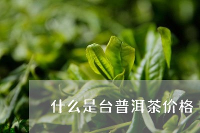 什么是台普洱茶价格/2023100884047