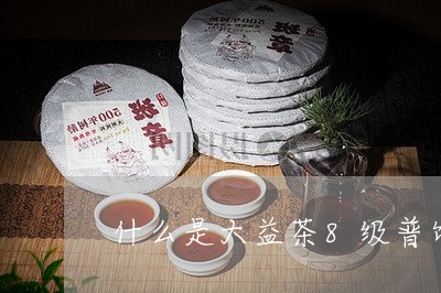 什么是大益茶8级普饼/2023061015170