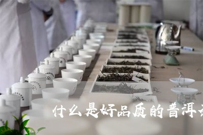 什么是好品质的普洱茶/2023062262916