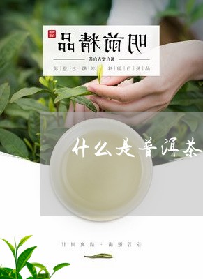 什么是普洱茶天花板/2023091573827