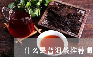 什么是普洱茶推荐喝的人/2023110545948