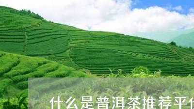 什么是普洱茶推荐平价/2023062440615