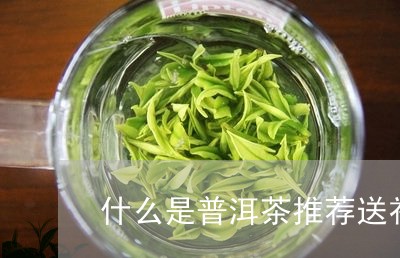 什么是普洱茶推荐送礼/2023062873604