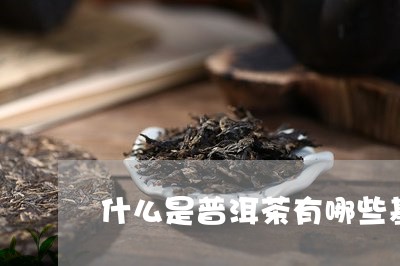 什么是普洱茶有哪些基本特征的茶/2023060249382