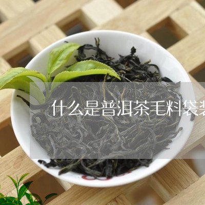 什么是普洱茶毛料袋装茶/2023120709403