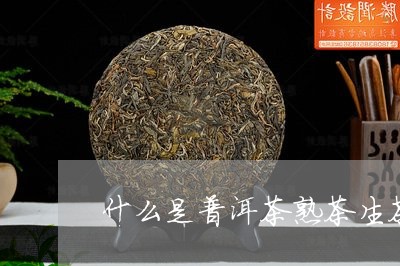 什么是普洱茶熟茶生茶/2023062894938