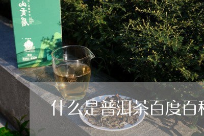 什么是普洱茶百度百科/2023092570636