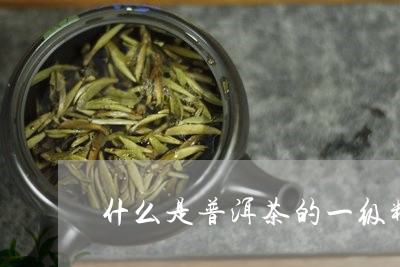 什么是普洱茶的一级料/2023061474845