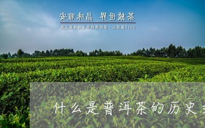 什么是普洱茶的历史文化/2023110181683