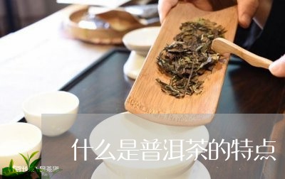 什么是普洱茶的特点/2023071108350