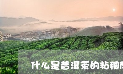 什么是普洱茶的粘稠度/2023093055140