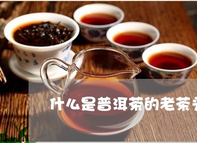 什么是普洱茶的老茶头/2023062343907