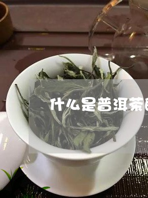 什么是普洱茶的花芽分化/2023082496271