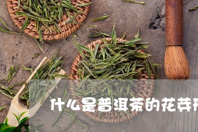 什么是普洱茶的花芽形状/2023110181595