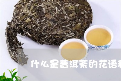 什么是普洱茶的花语和特点/2023112554926