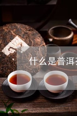 什么是普洱茶的茶韵味特点/2023110514838