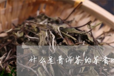 什么是普洱茶的茶香味/2023100719360