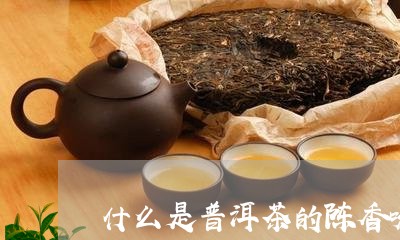 什么是普洱茶的陈香味/2023062205927