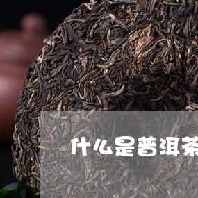 什么是普洱茶薯饼的味道/2023082736150