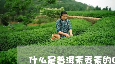 什么是普洱茶贡茶的口感/2023110364727