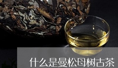 什么是曼松母树古茶/2023042015051