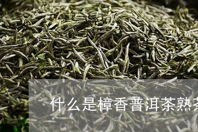 什么是樟香普洱茶熟茶/2023062386047