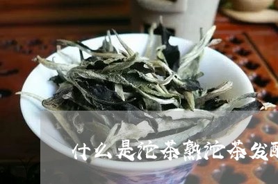 什么是沱茶熟沱茶发酸/2023092050804