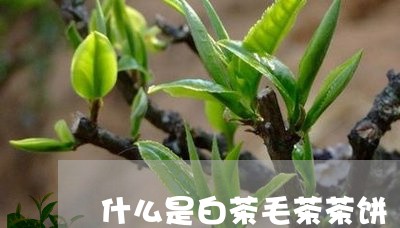 什么是白茶毛茶茶饼/2023081241825