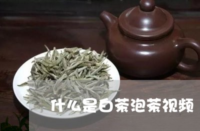 什么是白茶泡茶视频/2023121712048