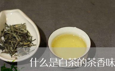 什么是白茶的茶香味/2023121706030