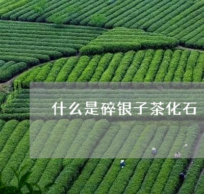 什么是碎银子茶化石/2023042287362