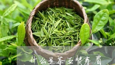 什么是茶王赞寿眉/2023090810896