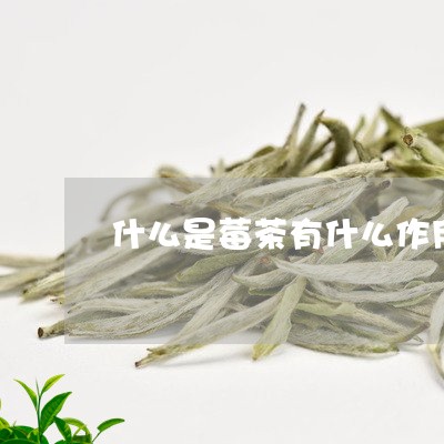 什么是莓茶有什么作用恩施莓茶/2023060146048