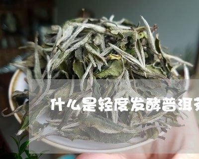 什么是轻度发酵普洱茶/2023062572926