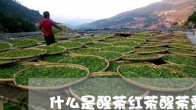 什么是醒茶红茶醒茶需要醒多久/2023053161693