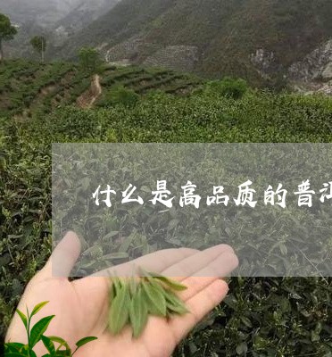 什么是高品质的普洱茶饼/2023082893736