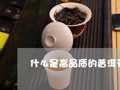 什么是高品质的普洱茶饼/2023110538351