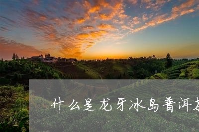 什么是龙牙冰岛普洱茶的特点/2023082870785